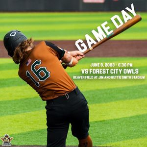 Image post by @bigfootsbaseball on Instagram