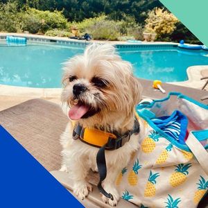 Image post by @nationwide on Instagram