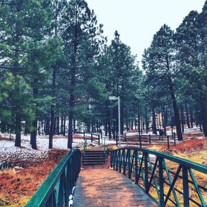 Image post by @nauflagstaff on Instagram