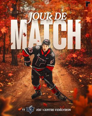 Image post by @quebec_remparts on Instagram