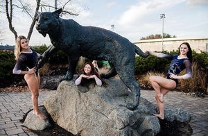 Image post by @unhgymnastics on Instagram
