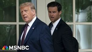 Video post by @msnbc on YouTube