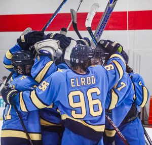Image post by @usphlhockey on Instagram