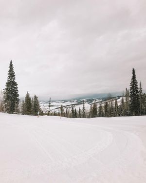Image post by @granbyranch on Instagram
