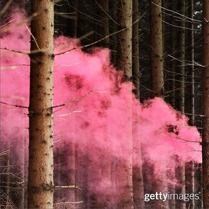 Image post by @gettyimages on Instagram