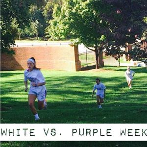 Image post by @hpuwlax on Instagram