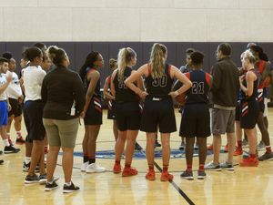 Image post by @FAUWBB on Twitter