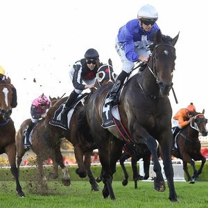 Image post by @australianturfclub on Instagram