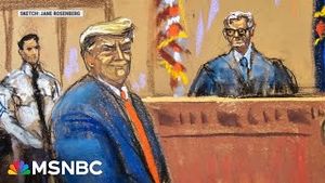Video post by @msnbc on YouTube