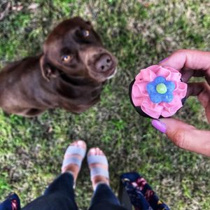 Image post by @anabellecox_ on Instagram