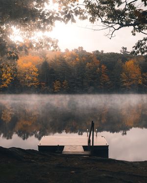 Image post by @themainemag on Instagram