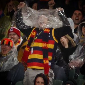 Image post by @adelaide_fc on Instagram