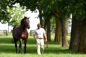Image post by @spendthriftfarm on Instagram