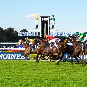 Image post by @australianturfclub on Instagram