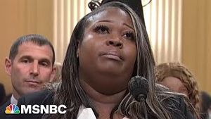 Video post by @msnbc on YouTube