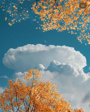 Image post by @fubiz on Instagram