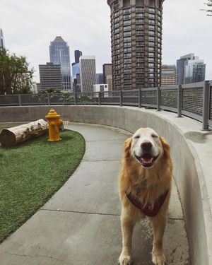 Image post by @amandakl on Instagram