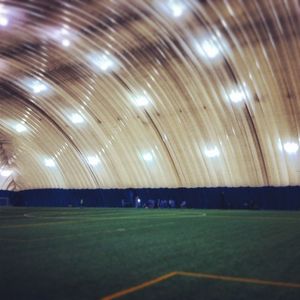 Image post by @carabins on Instagram