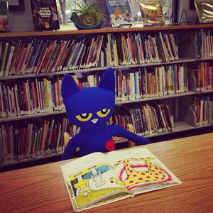 Image post by @stjohnscountylibrary on Instagram