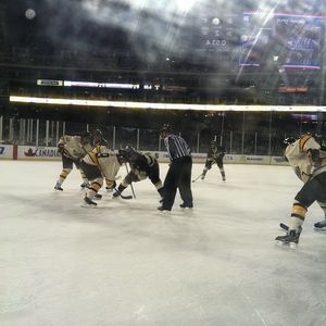 Image post by @wmu_hockey on Instagram