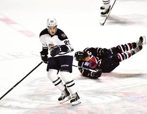 Image post by @swamprabbits on Instagram