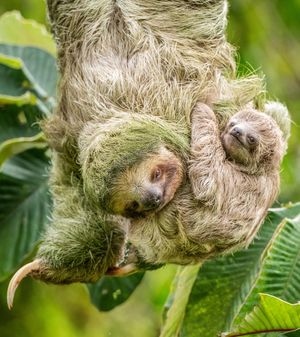 Image post by @discovery on Instagram