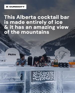 Image post by @curiocitycalgary on Instagram