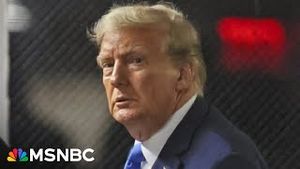 Video post by @msnbc on YouTube
