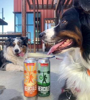 Image post by @greatdividebrew on Instagram