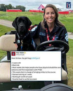 Image post by @golfdogs on Instagram