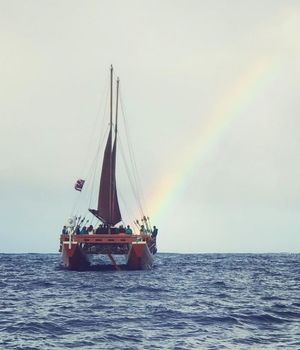 Image post by @olukai on Instagram