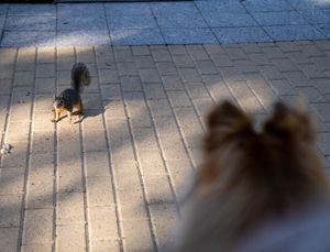 Image post by @missrevx on Instagram