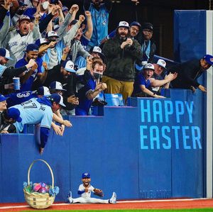 Image post by @mlb.mini on Instagram