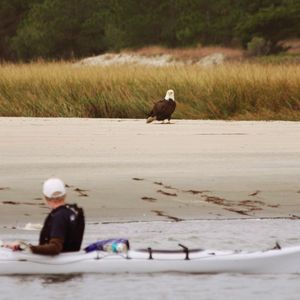 Image post by @kiawahresort on Instagram