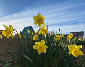 Image post by @wsupullman on Instagram