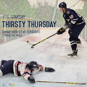 Image post by @swamprabbits on Instagram