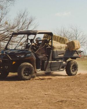 Video post by @pbr on Instagram