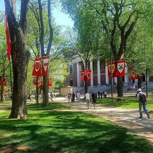 Image post by @harvard on Instagram
