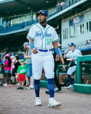 Image post by @hartfordyardgoats on Instagram