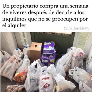 Image post by @tellerialevy_ on Instagram