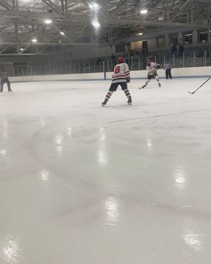 Image post by @ugahockey on Instagram