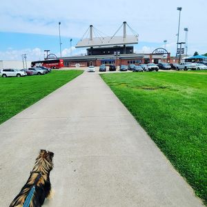 Image post by @burlington_bees on Instagram
