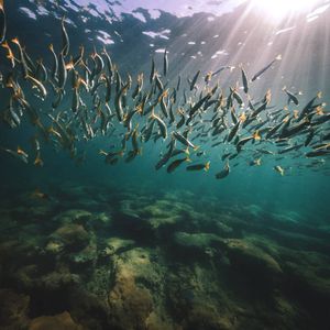 Image post by @serfermedia on Instagram