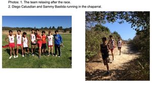 Image post by @palma_school on Instagram