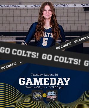 Image post by @casteelwomensvball on Instagram