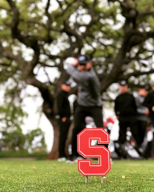 Image post by @nsu_mgolf on Instagram