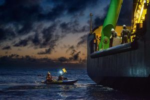 Image post by @greenpeace on Instagram