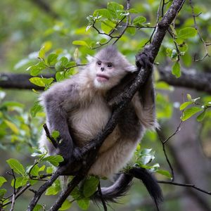 Image post by @animalplanet on Instagram
