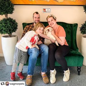 Image post by @ellendegeneres on Instagram