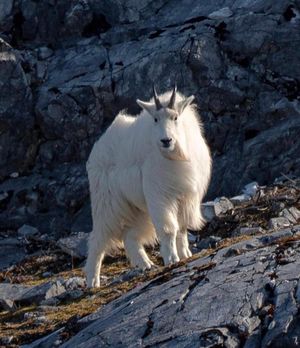 Image post by @nationalparkservice on Instagram